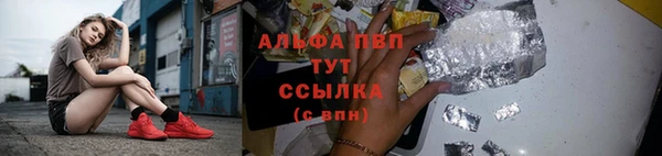 молекула духа Володарск
