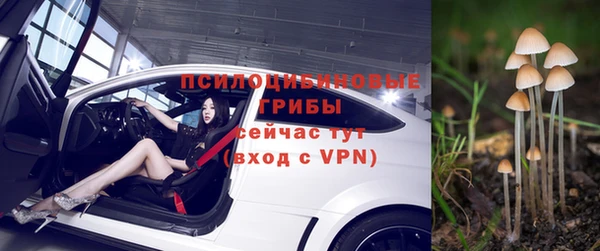 молекула духа Володарск