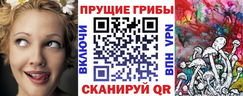 Галлюциногенные грибы прущие грибы купить наркотики цена Высоковск